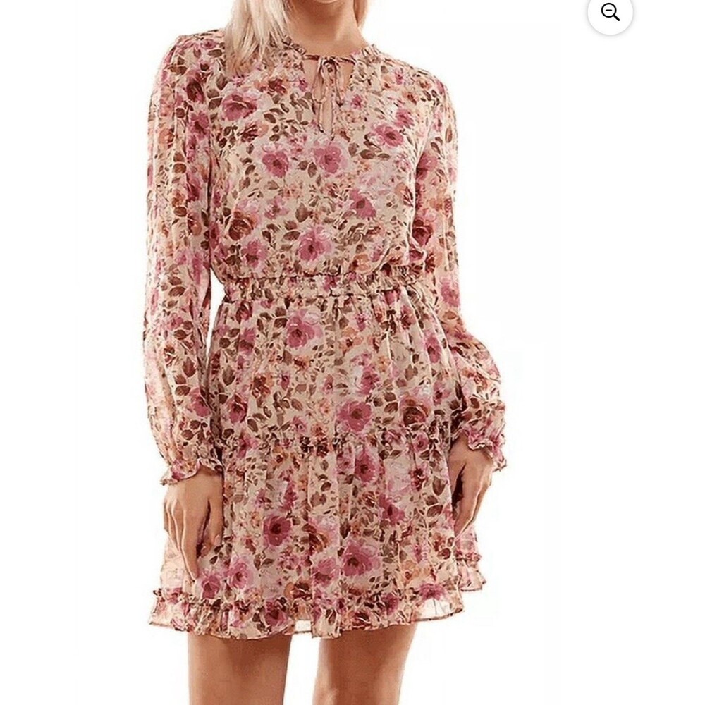 Crystal Doll  Fit & Flare Floral Chiffon Dress Size XL Ruffle Boho Romantic